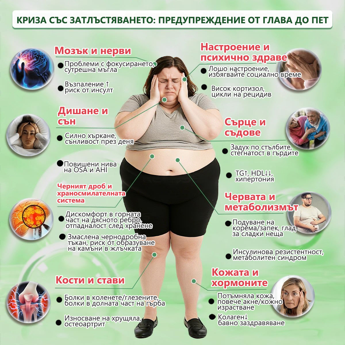 Ограничена оферта🍀🍀𝐆𝐞𝑒𝑙𝑒𝐦𝐨𝐧® Glum𝐚𝐬𝐞tide 8 в 1 – Нано микроиглен пластир за отслабване|Само 1× дневно ✅ Видими промени за 7 дни – при затлъстяване, сърдечно-съдово здраве, диабет и ставни проблеми 🍀🍀 (Copy)
